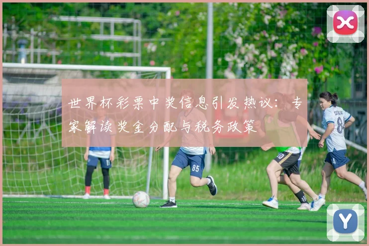 世界杯彩票中奖信息引发热议：专家解读奖金分配与税务政策