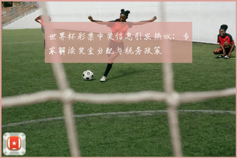 世界杯彩票中奖信息引发热议：专家解读奖金分配与税务政策